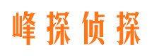 城步侦探